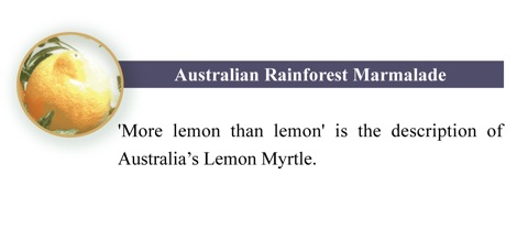 RainforestMarmalade